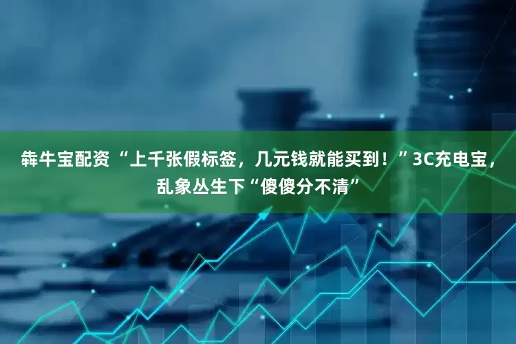 犇牛宝配资 “上千张假标签，几元钱就能买到！”3C充电宝，乱象丛生下“傻傻分不清”
