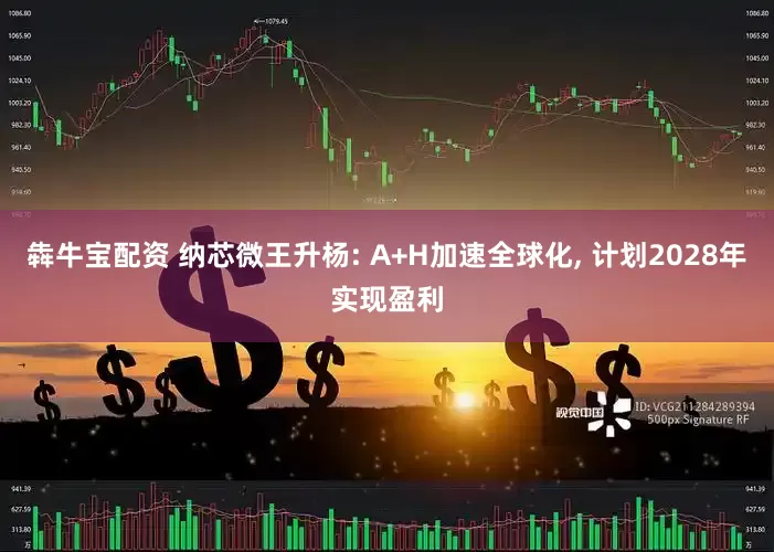 犇牛宝配资 纳芯微王升杨: A+H加速全球化, 计划2028年实现盈利